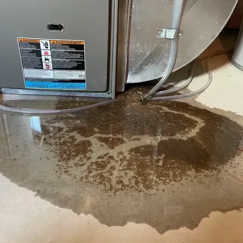 Appliance Leak Cleanup in Wayne City, IL